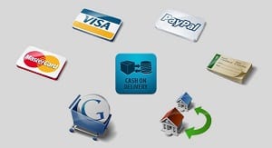 ecommerce  accept-cc-300x217-1